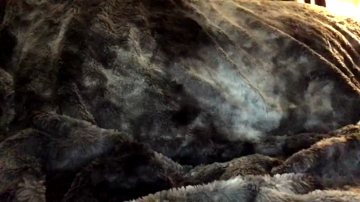 Bigcalicock3  05-08-2021 video bigass